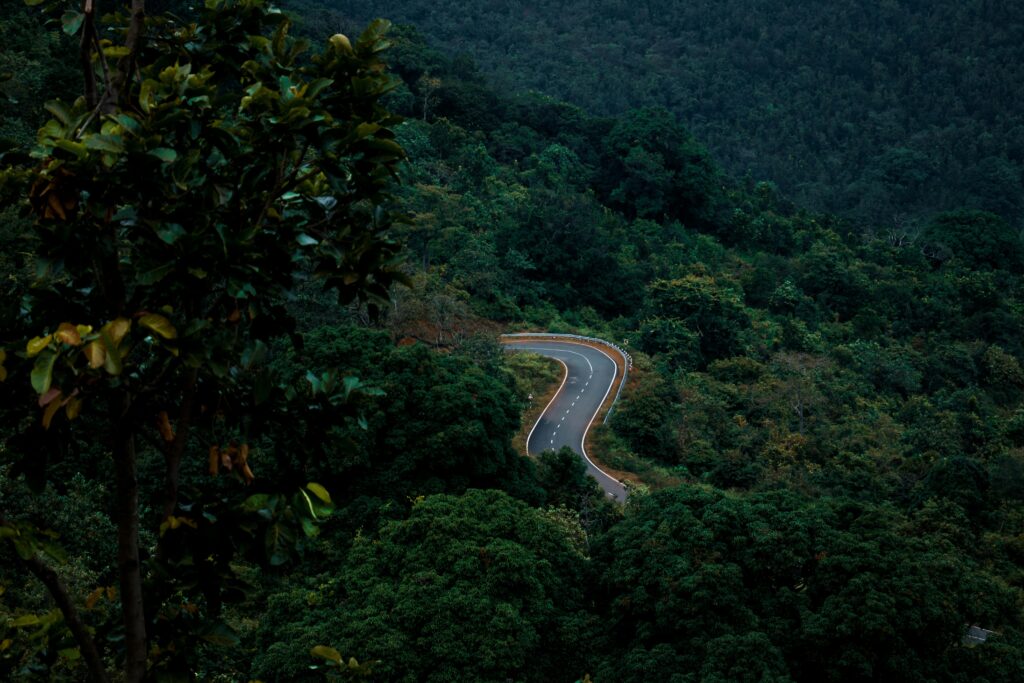 From above of curvy asphalt road going through lush green forest growing in picturesque mountainous valley